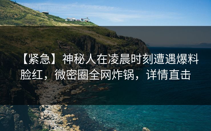 【紧急】神秘人在凌晨时刻遭遇爆料 脸红，微密圈全网炸锅，详情直击