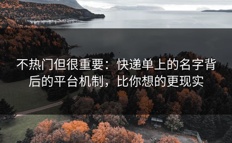 不热门但很重要：快递单上的名字背后的平台机制，比你想的更现实