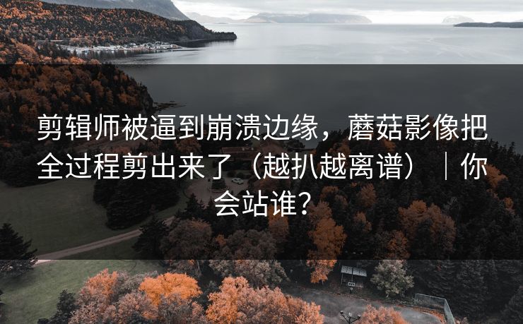 剪辑师被逼到崩溃边缘,蘑菇影像把全过程剪出来了(越扒越离谱)|你会站谁? 剪辑师被逼到崩溃边缘,蘑菇影像把全过程剪出来了(越扒越离谱)|你会站谁?