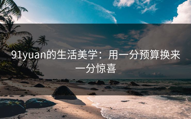 91yuan的生活美学:用一分预算换来一分惊喜 91yuan的生活美学:用一分预算换来一分惊喜