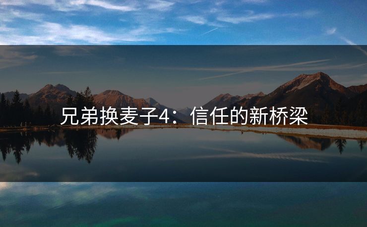 兄弟换麦子4:信任的新桥梁 兄弟换麦子4:信任的新桥梁