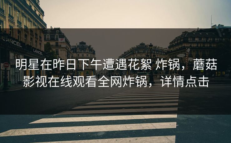 明星在昨日下午遭遇花絮 炸锅，蘑菇影视在线观看全网炸锅，详情点击